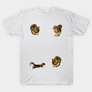 4 Squirrels T-Shirt
